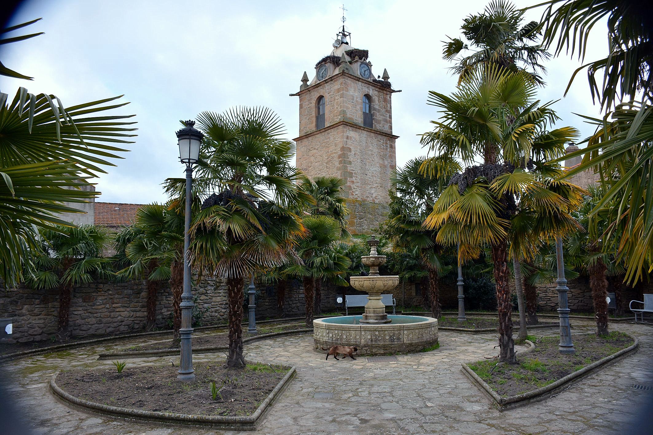 Lumbrales