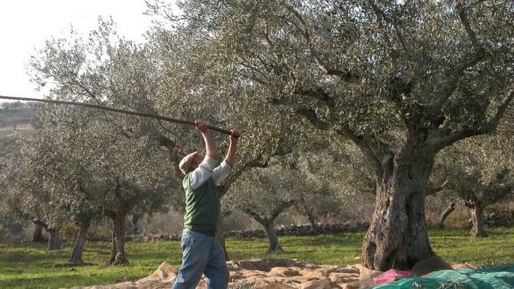 Almazara de Ahigal