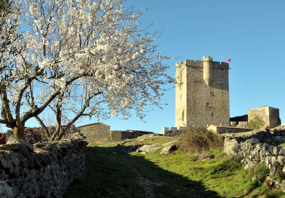 San Felices de los Gallegos