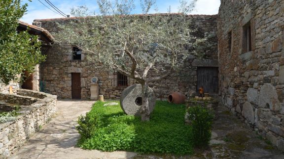 Museo del Aceite Lagar del  Mudo