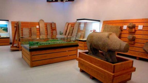 Museo del Castro