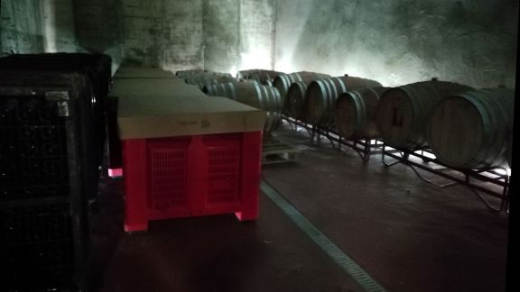 Bodega Ahigal