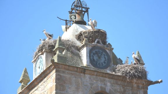 lumbrales cigüeñas