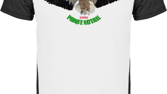 Aves